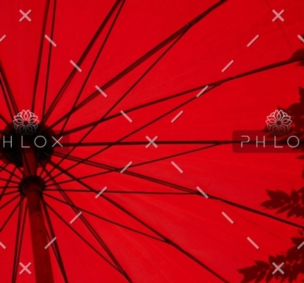 demo-attachment-1549-loic-furhoff-YERwza88a0o-unsplash@2x